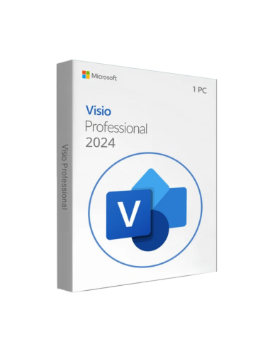 Microsoft Visio Professional 2024